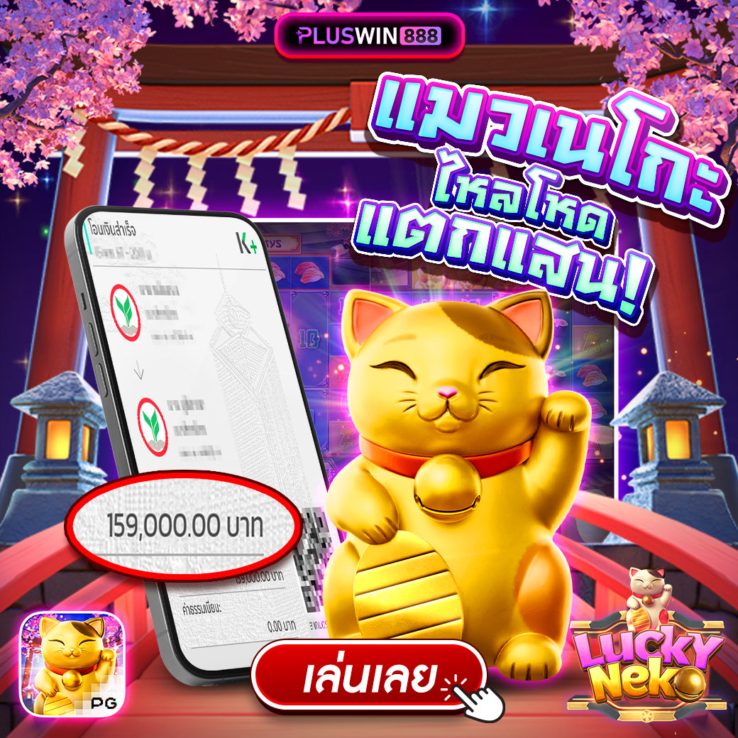 รีวิวแมวเนโกะ